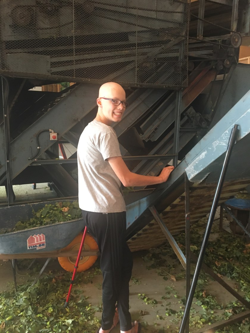 0DA78F77-FF9D-4D66-9F7E-2AA82CE7219F